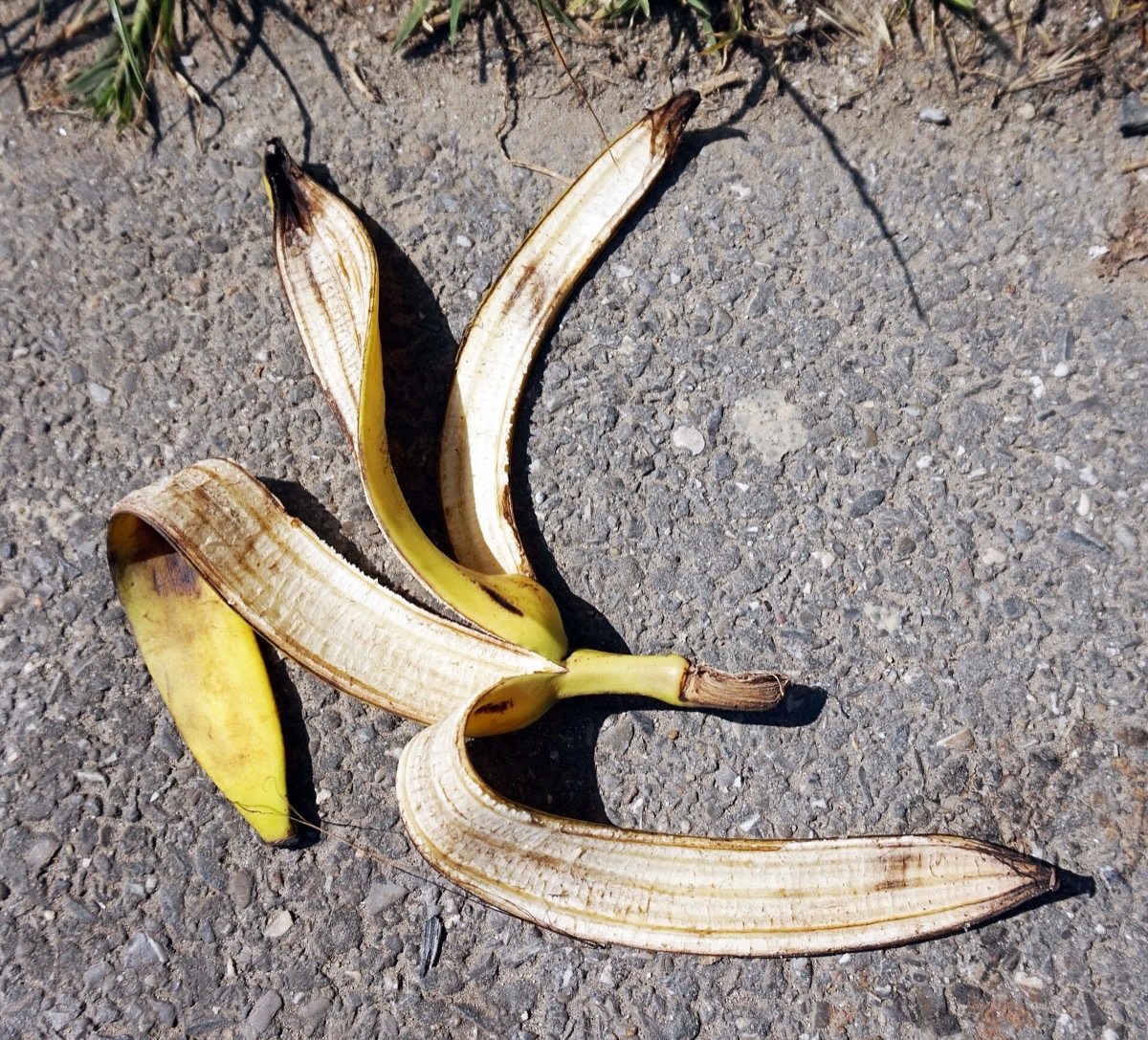 קליפת בננה פתוחה על משטח בהיר