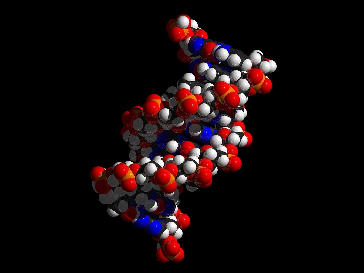 מודל תלת־ממדי של סליל כפול של DNA